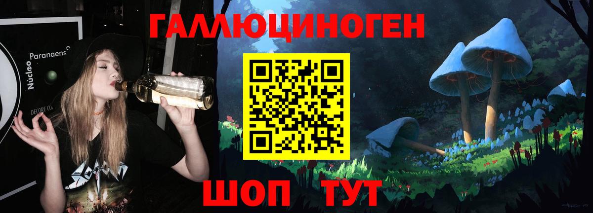 Псилоцибиновые грибы Psilocybe  Вход с VPN  Печора 