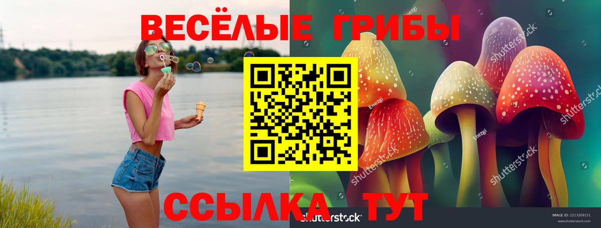 Псилоцибиновые грибы мухоморы Печора